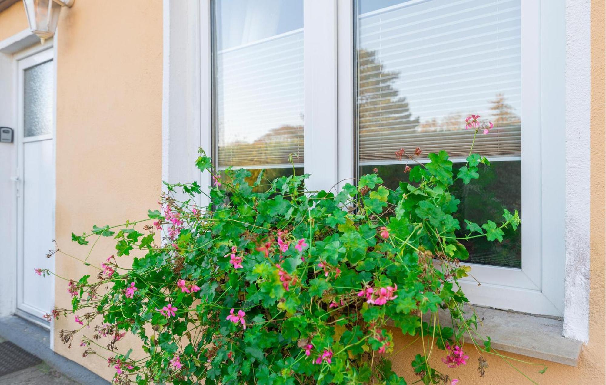 Ostseegruss Apartment Rostock